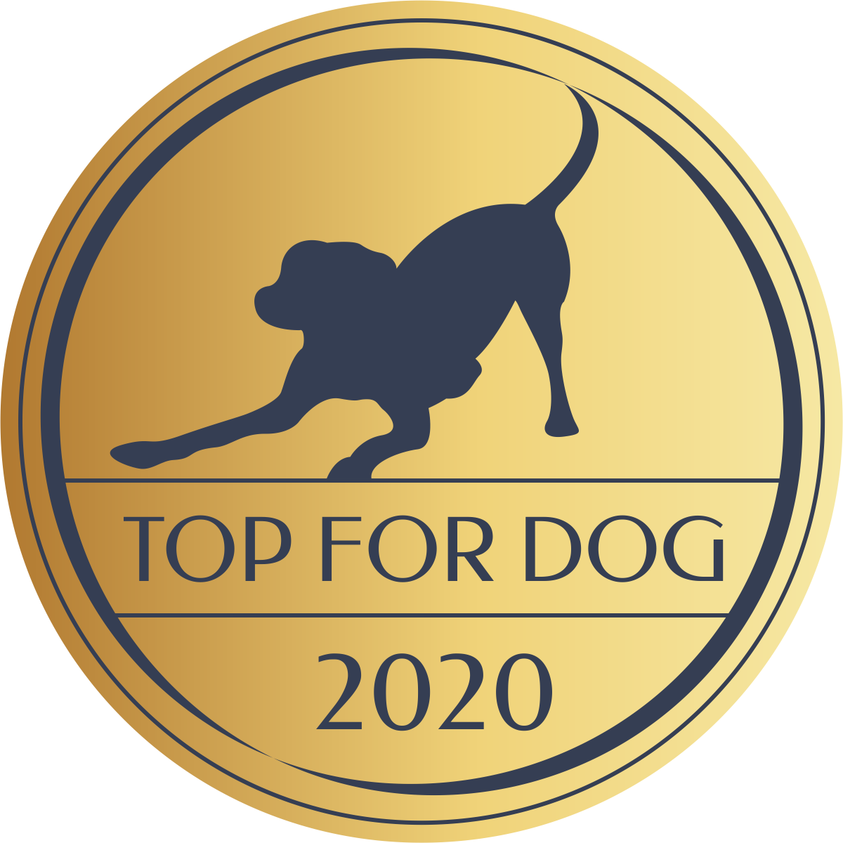 Top for Dog