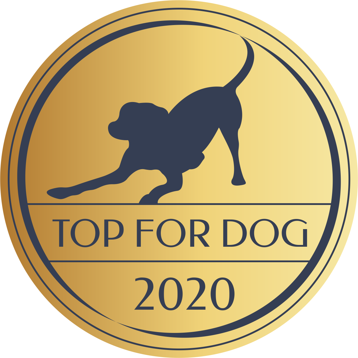 Top for Dog